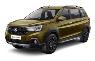 PearlBraveKhaki_1722508897373